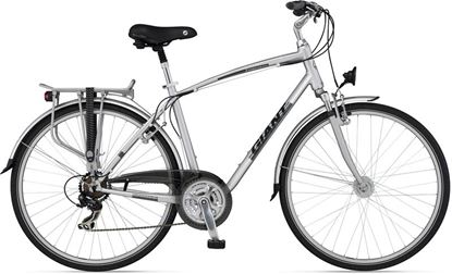 Obrazek GIANT EXPRESSION