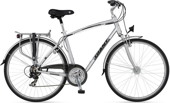 Obrazek GIANT EXPRESSION