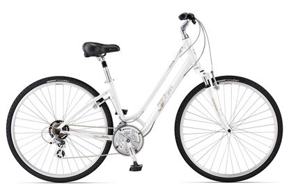 Obrazek GIANT LIV CYPRESS W