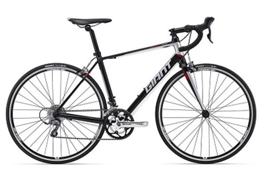 Obrazek GIANT DEFY 5