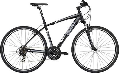 Obrazek GIANT ROAM 4