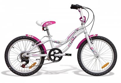 Obrazek DRAKAR LEMUROOO 20"