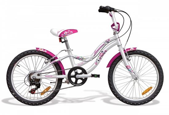 Obrazek DRAKAR LEMUROOO 20"