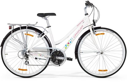 Obrazek DRAKAR FREEWAY 9100 LADY