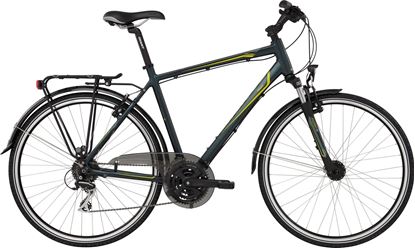 Obrazek GIANT ARGENTO 3 2016